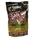 Gourmet Food : Genisoy Soy Nuts - BBQ(12 pouches)