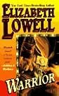 3 Elizabeth Lowell paperback WESTERN FRONTIER book set: WARRIOR / OUTLAW / and RECKLESS LOVE