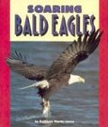 Soaring Bald Eagles (Pull Ahead Books)