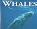 Whales