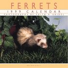 Cal 99 Ferrets