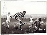 Box Canvas Print of Action Images - 3.jpg from Mirror Photos