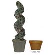 Preserved Spiral Juniper with Mache Pot (Evergreen) (50"H)