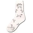 Jack Russell Poses Dogs Socks Sock Liner