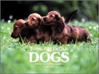 『ペットカレンダーDogs 2005』の写真