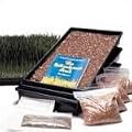 Wheatgrass Growing Kit W 400 by Back To Basics