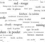 Review The Intuitive Learning Company B08 / 250 French Vocabulary Words Shower Curtain