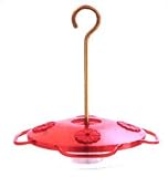 Droll Yankee Hummingbird Feeder With Nectar Guard
