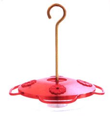 Droll Yankee Hummingbird Feeder With Nectar Guard