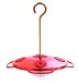 Outdoor Living : Droll Yankee Hummingbird Feeder With Nectar Guard