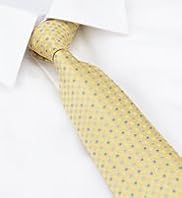 Machine Washable Textured Spotted Tie