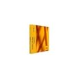 Symantec Multi-Tier Protection Small Business Edition - ( V. 11.0.2 ) - Media... by Symantec Corporation