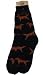 Golden Retriever Poses Socks