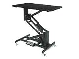 Professional Hydraulic Grooming Table Dogs Cats