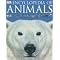 Books I use for a Kindergarten Science unit on Animals