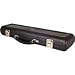Replacement Cases Flute or Piccolo Plastic Case Piccolo
