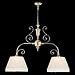 Crystorama - 1372-RB - Birmingham Collection - 2 Light Brass Billiard Light