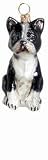 Boston Terrier