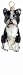 boston terrier - Boston Terrier
