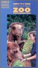 Hidden Zoo, the