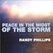 Peace in the Midst of the Storm