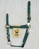 Hamilton Deluxe 3/4 Arabian Nylon Horse Halter with Adjustable Chin and Snap, Dark Green, Small/Cob (500-800 lbs)