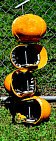 SOFTBALL/BASEBALL BATTING HELMET TREE