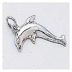 Dolphin Charm