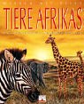 Wissen mit Pfiff. Tiere Afrikas: Was Kinder erfahren und verstehen wollen