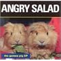 Guinea Pig
