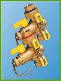 Rheem Tankless Water Heater AP13892 Water Service Valves