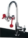 Guardian G1100 EyeSafe Faucet-Mounted Eyewash, Adjustable Aerated Outlet Heads