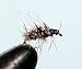 Griffith's Gnat Size: 20
