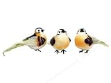 Accent Design Floral and Garden Accents Medium Bird Warbler 5 Feather Brown/Peach