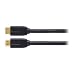 audio-technica GOLDLINK Fine HDMI�ǥ����륱���֥�(Ver.1.3�б�)1.5m AT599V/1.5