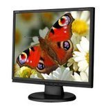 17IN LCD 700:1 1280X1025 5MS Thin Frame Bezel Tilt Screen by 