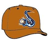 Minor League Baseball Cap - Swing of the Quad City Road Cap by New Era