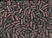 Bugle Beads Size 2 Czech Matte (a full one hank pack) over 100 colors available individually!, Translucent Brown