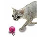Kitchen & Housewares : Go!Cat!Go! Play-N-Treat Cat Balls (2 pack)