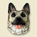 Refrigerator Magnets - German Shepherd Black / Tan