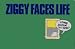 Ziggy Faces Life Pb