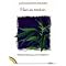 B�cher �ber Hanf, Canabis und Marihuana