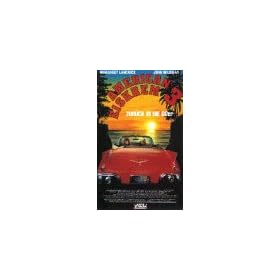 American Boyfriends [VHS]