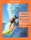 Study Guide for Human Anatomy & Physiology (Life Sciences Series)