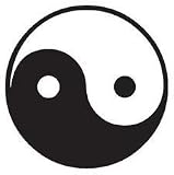 Yin Yang Die-Cut Photographic Magnet