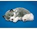 Perfect Petzzz- Alaskan Husky Puppy