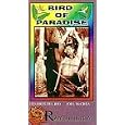 Buy Bird of Paradise