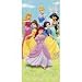 Disney Princess Door Banner (walk through)