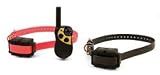 SportDog Field Trainer for Two Dogs