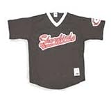 Minor League Baseball Delmarva Shorebirds V Neck Adult Jersey